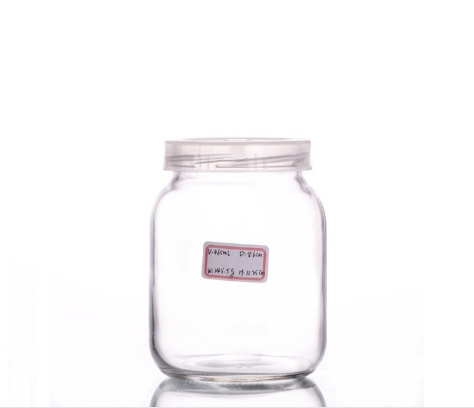 Tissue Culture Bottle